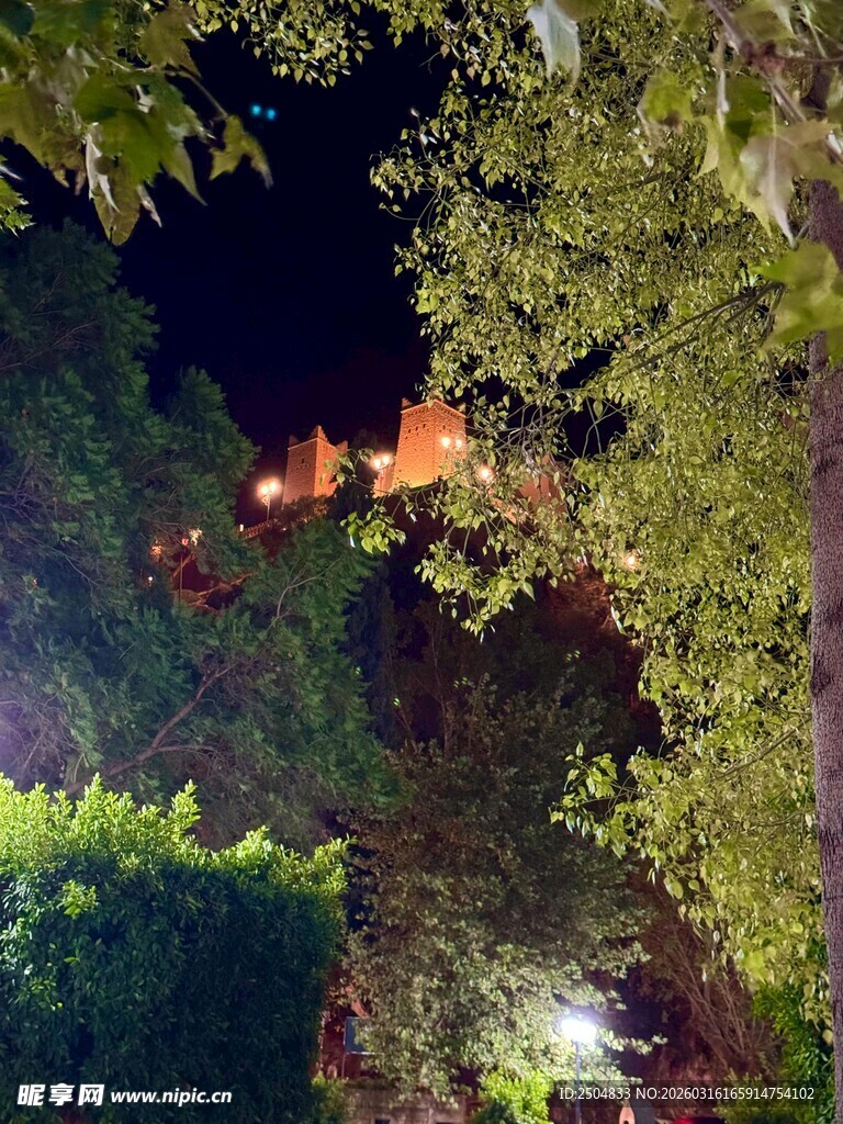 夜晚林间闪烁的灯光