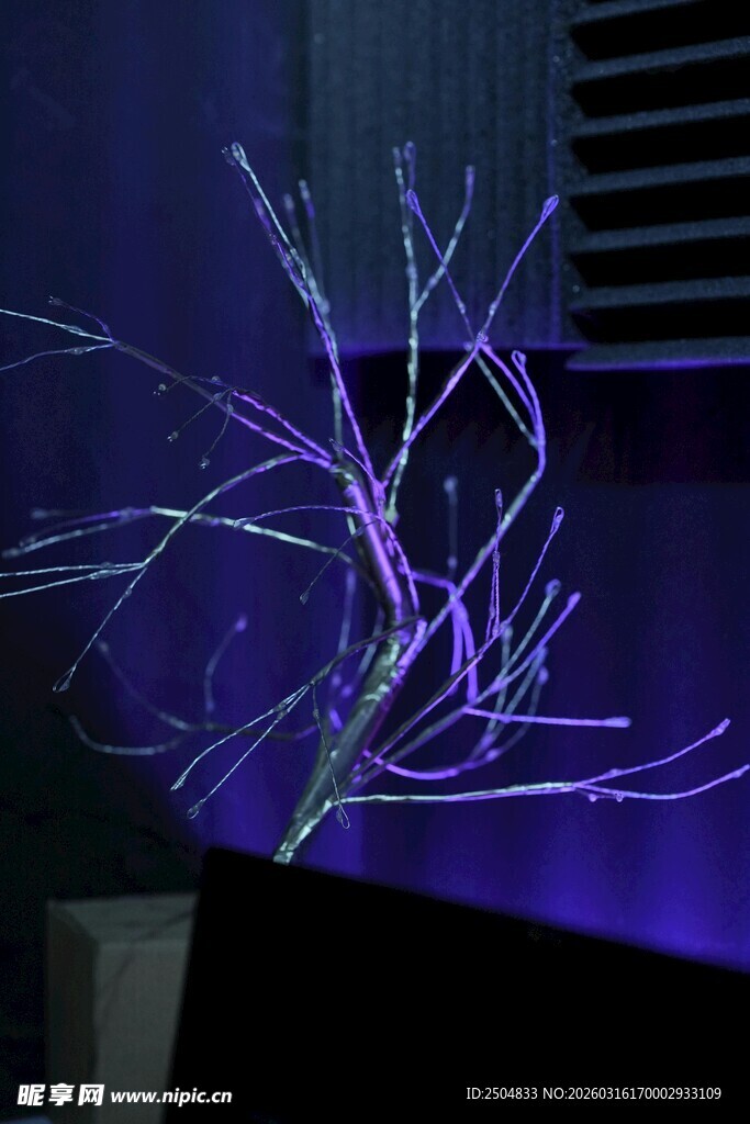 紫色梦幻树枝光影艺术