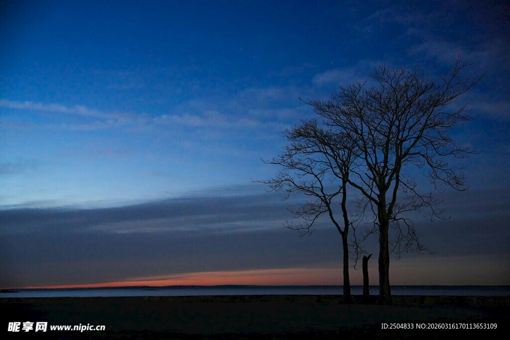 黄昏下的孤树与天际