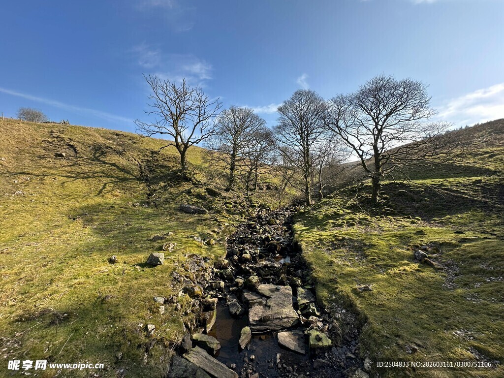 山间草地中的石砌小径