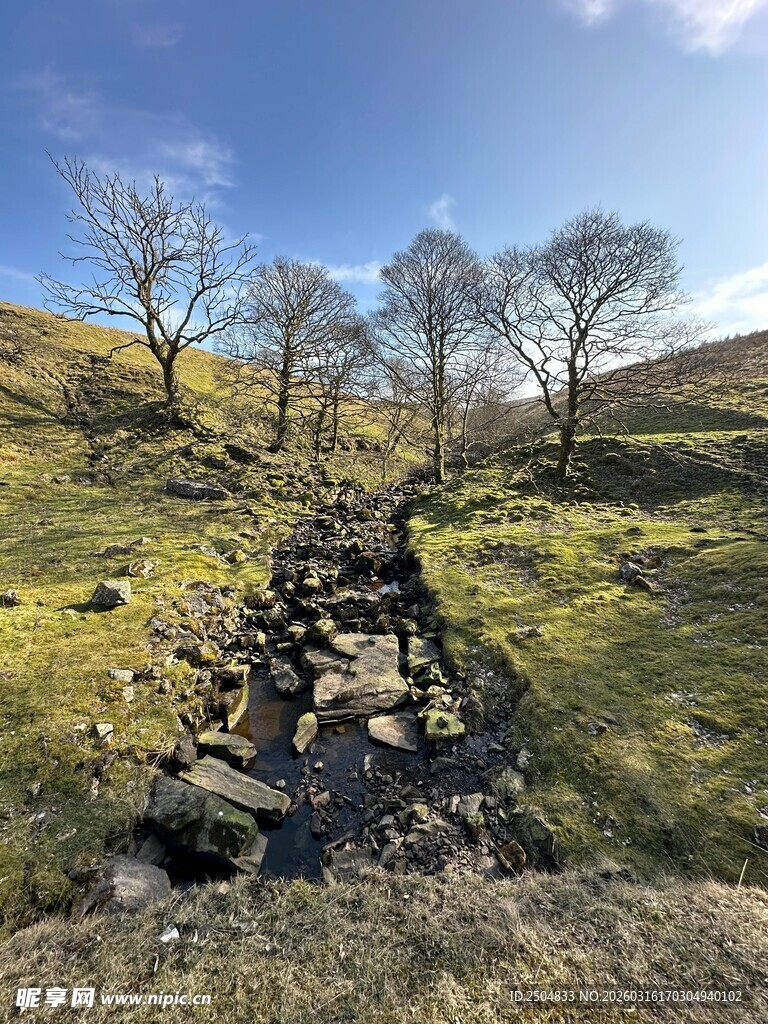 山间溪流旁的静谧草地