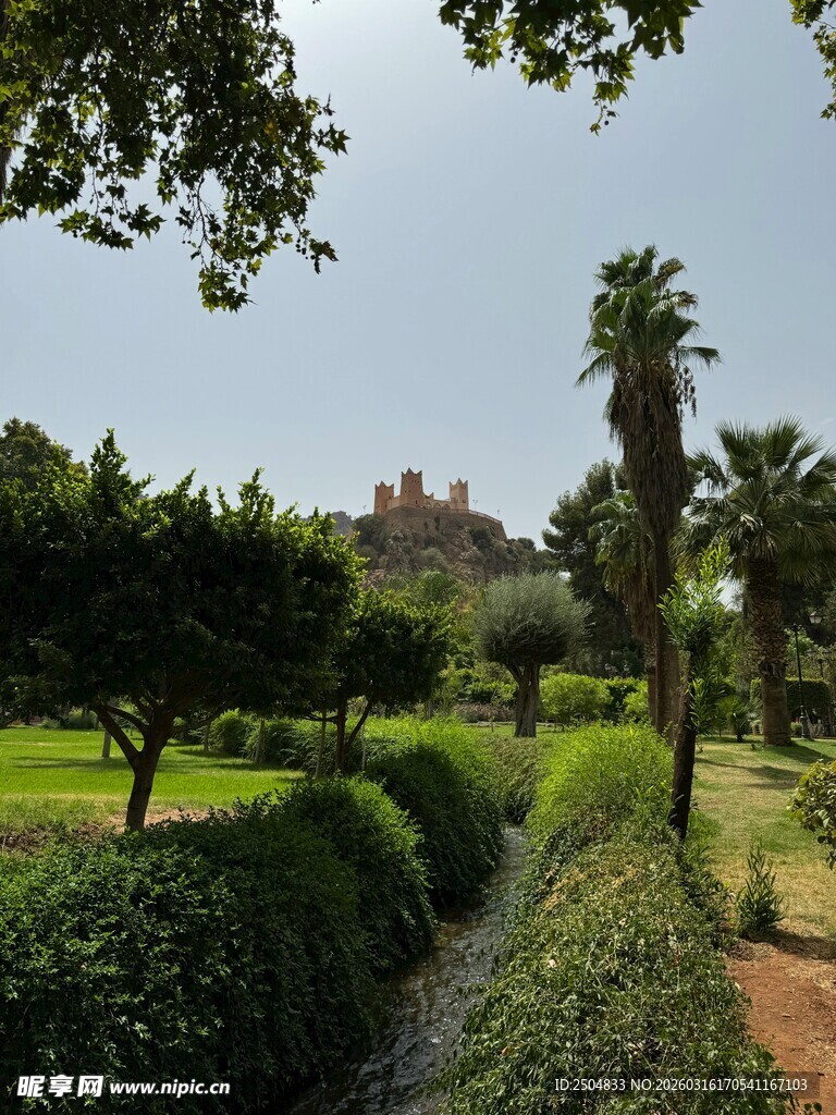 花园中的绿植与潺潺溪流