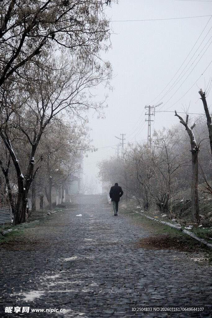 雾中漫步的静谧林间小道