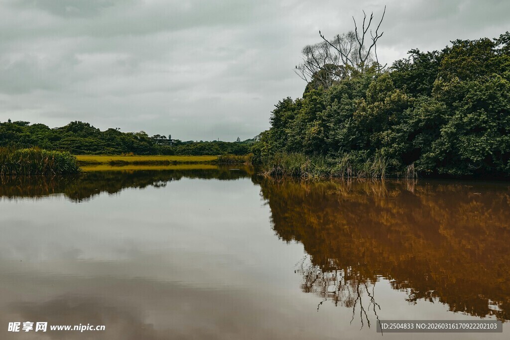 宁静湖畔的自然景致