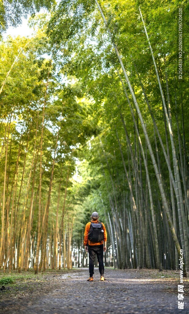漫步竹林间的徒步者
