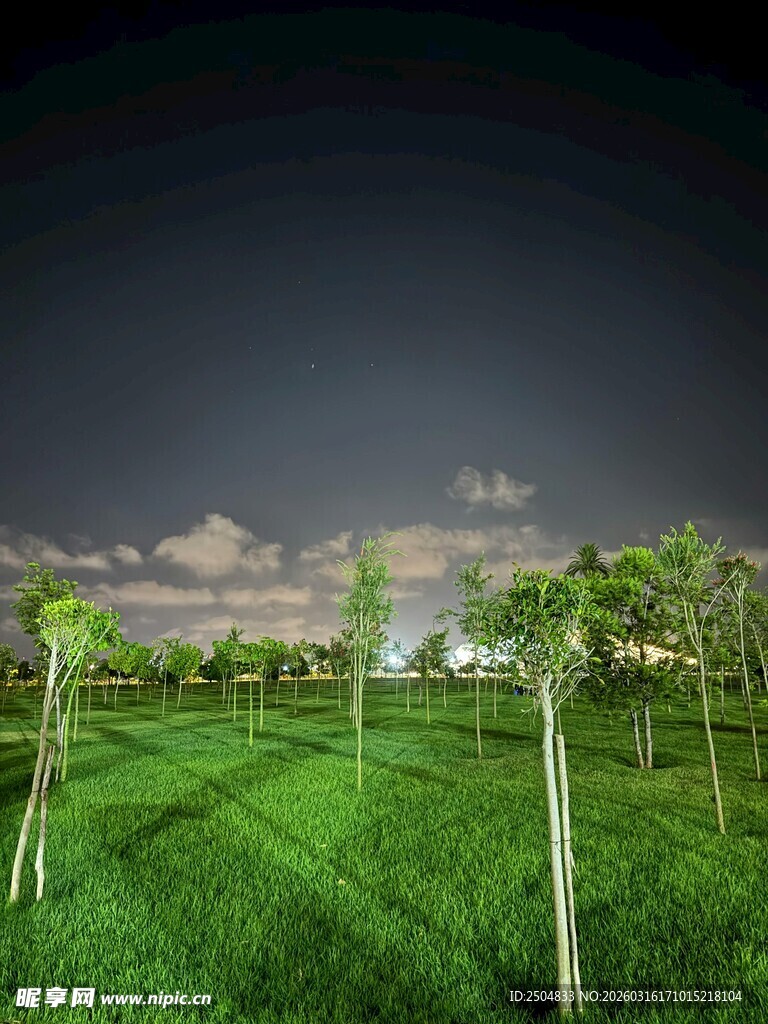 夜幕下的绿色田野景观