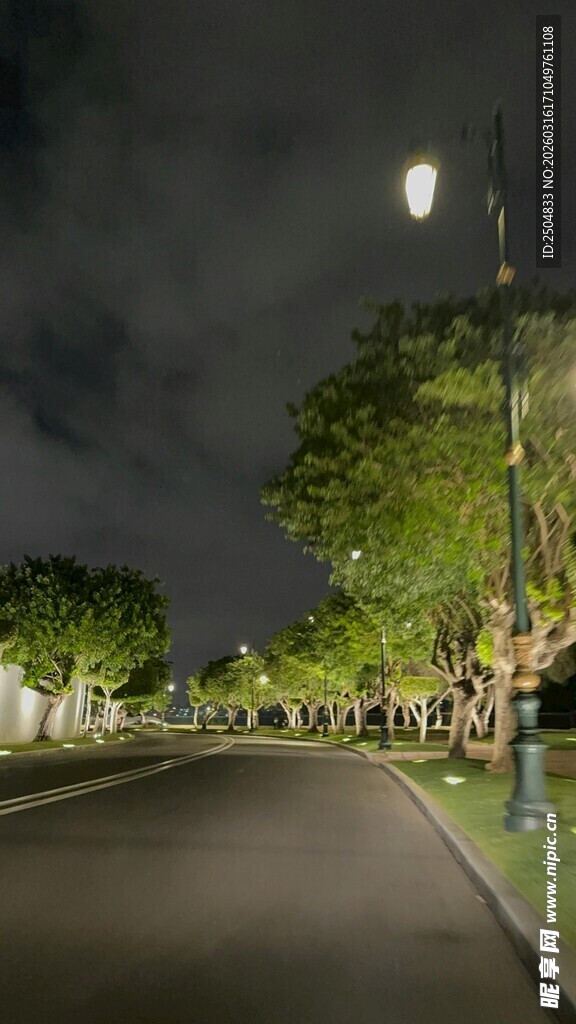 夜晚静谧街道景观