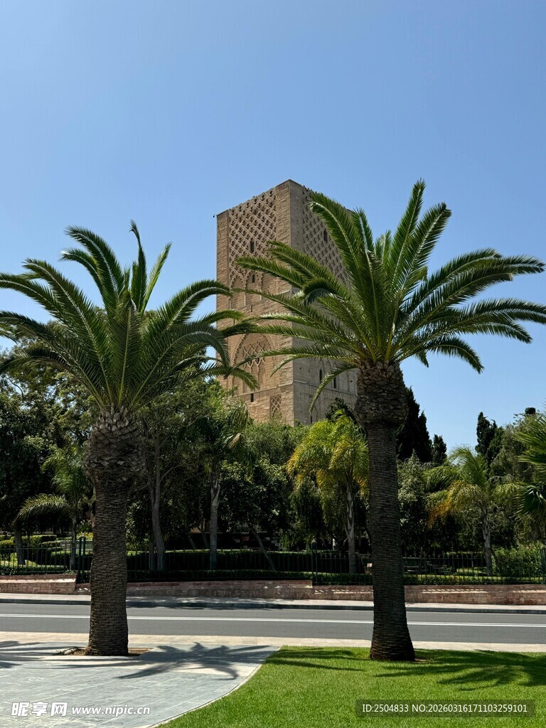棕榈树旁的宏伟建筑