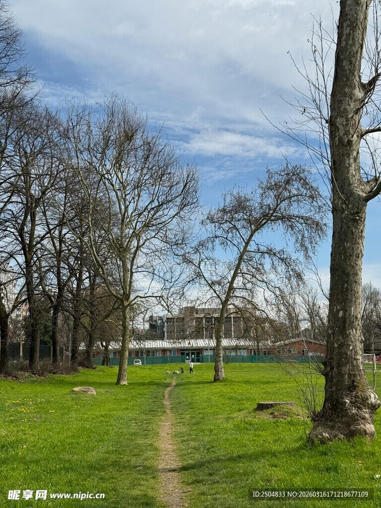 春日草地林间小径风景