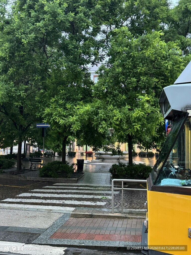 街道边的黄色车辆与绿树
