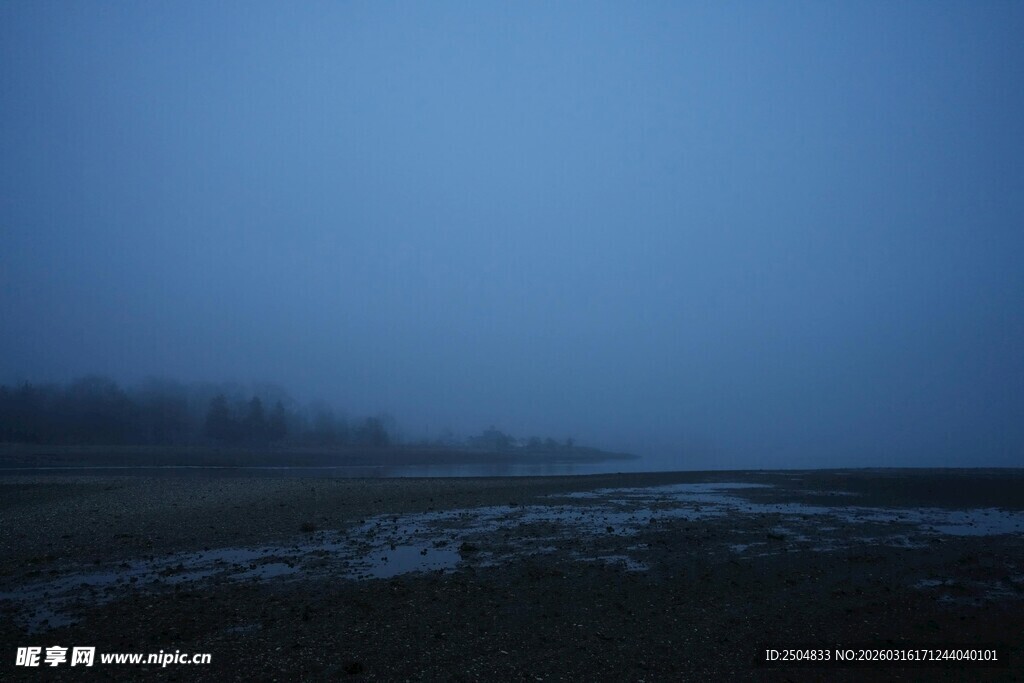 雾霭笼罩的宁静旷野