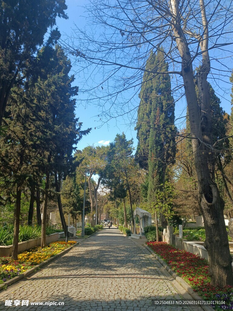 林荫小道 静谧优美景致