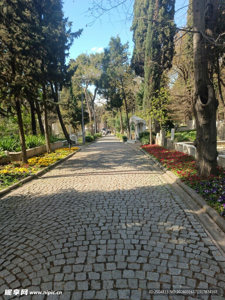 林间鹅卵石小径 宁静美好