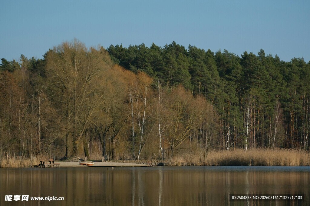 湖畔秋景 静谧森林倒影