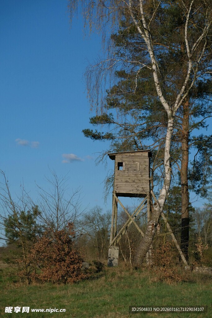 野外树间的简易瞭望小屋