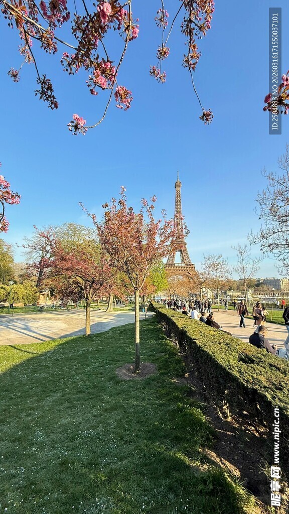 秋日公园草坪景观