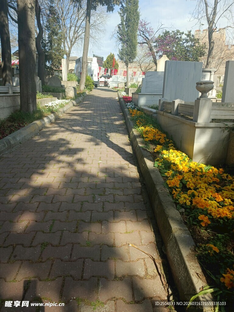 阳光照耀下的墓道与花卉