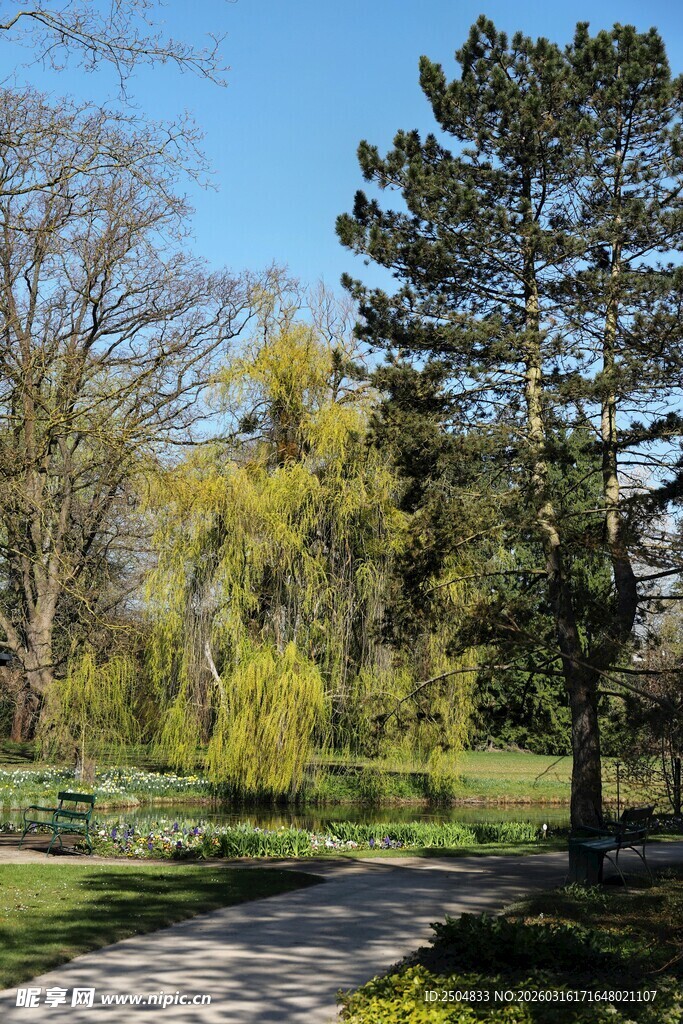 春日公园绿意盎然小道