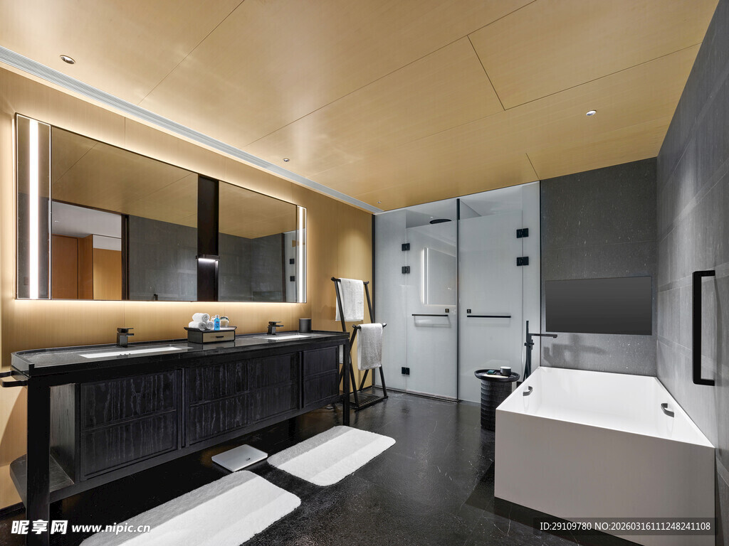 现代时尚风豪华浴室空间