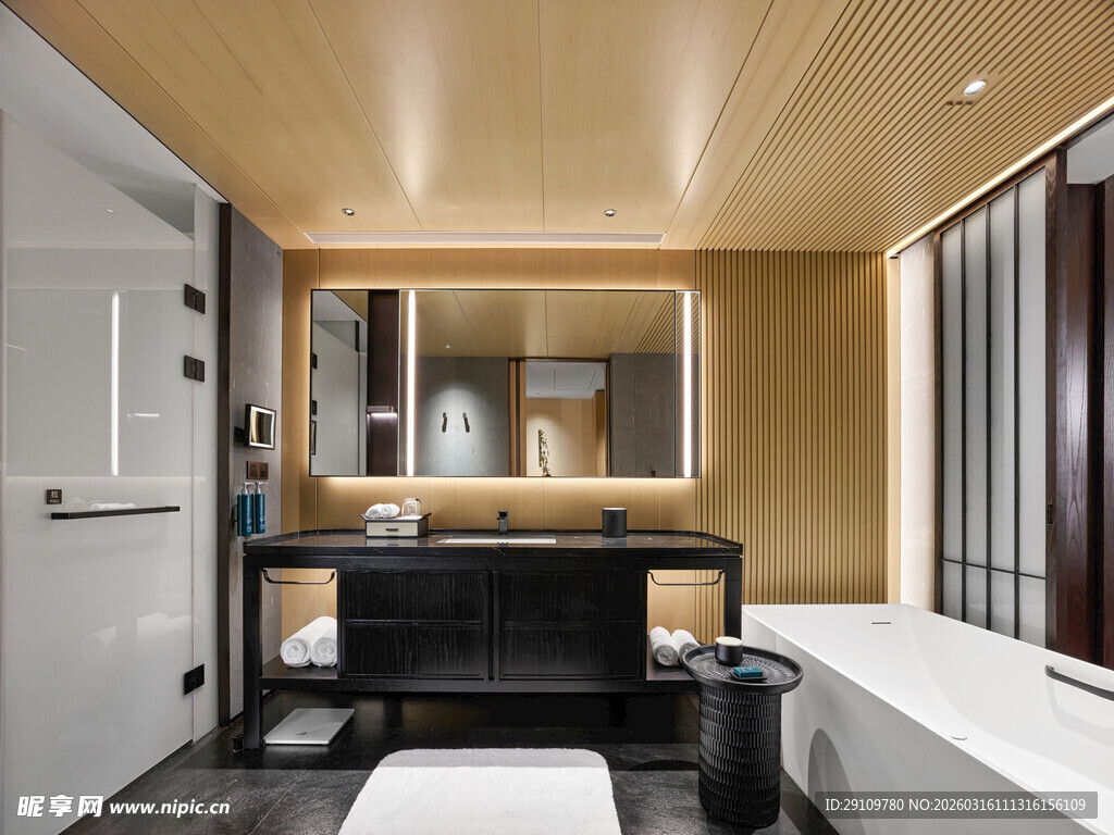 现代简约风格豪华浴室空间