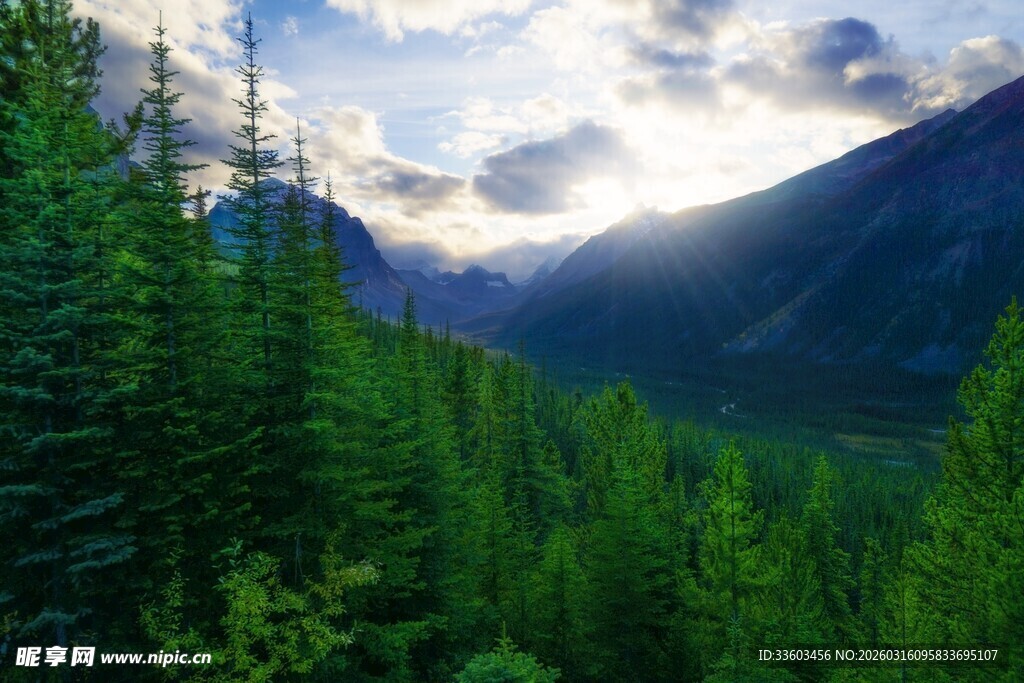 山林间的光影美景