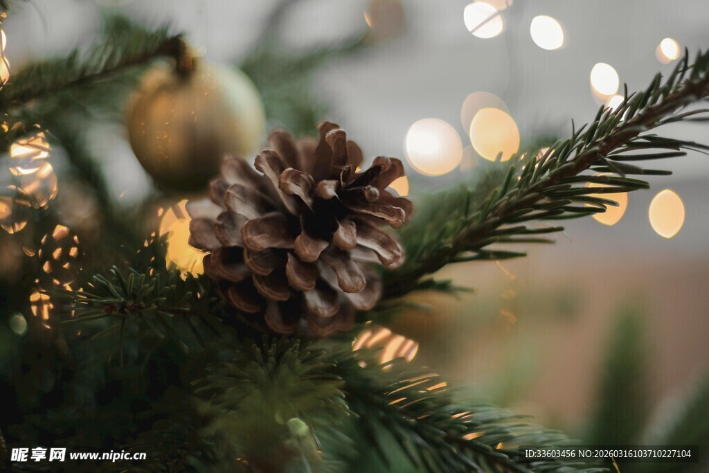 圣诞松枝上的松果装饰