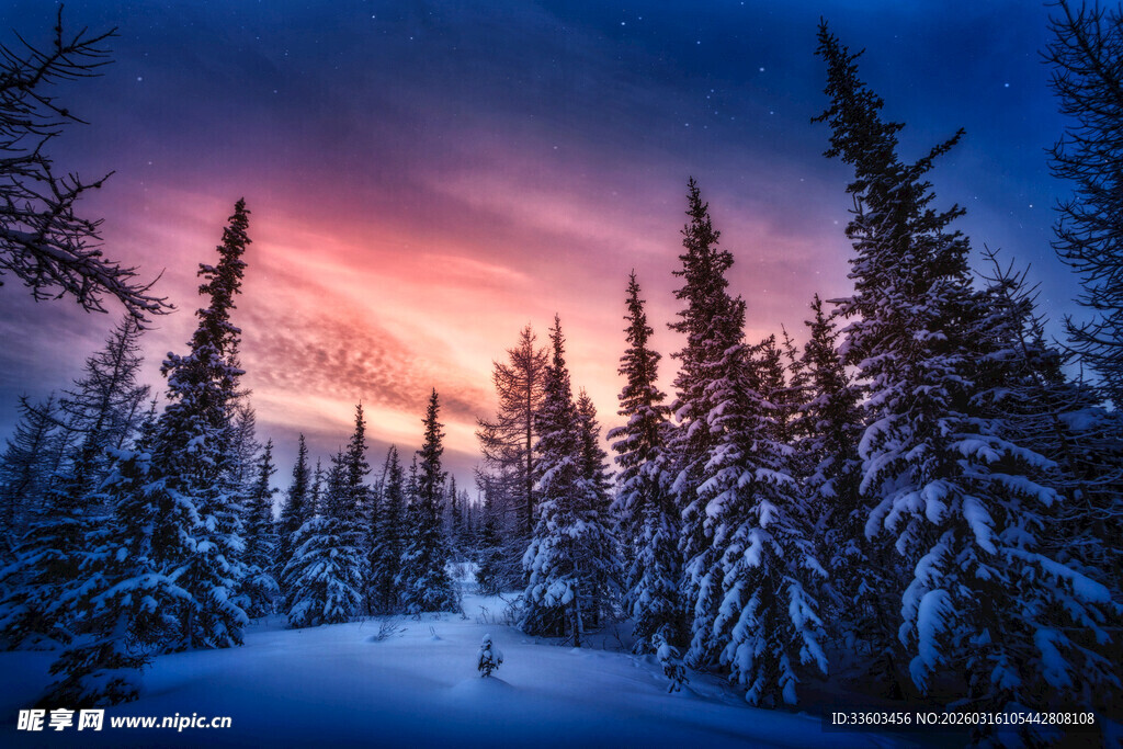 冬日雪林日落美景
