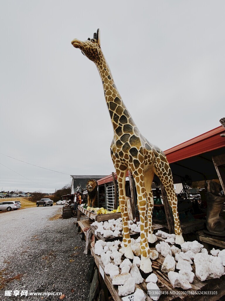 户外长颈鹿雕塑