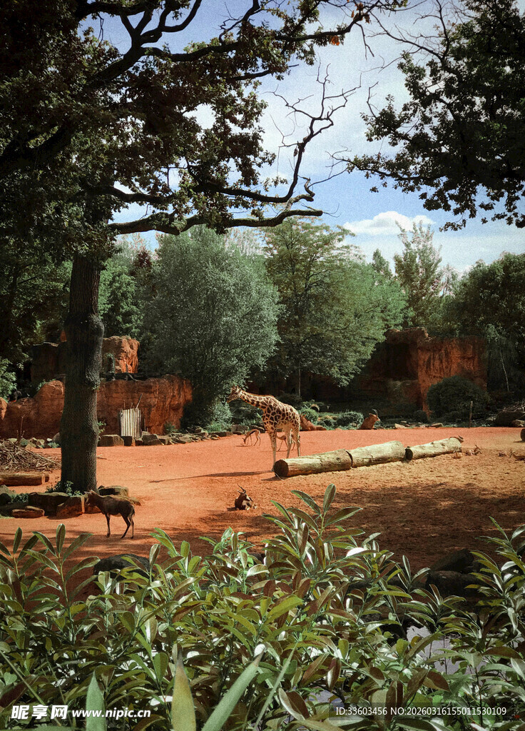 古老遗址旁的繁茂绿植