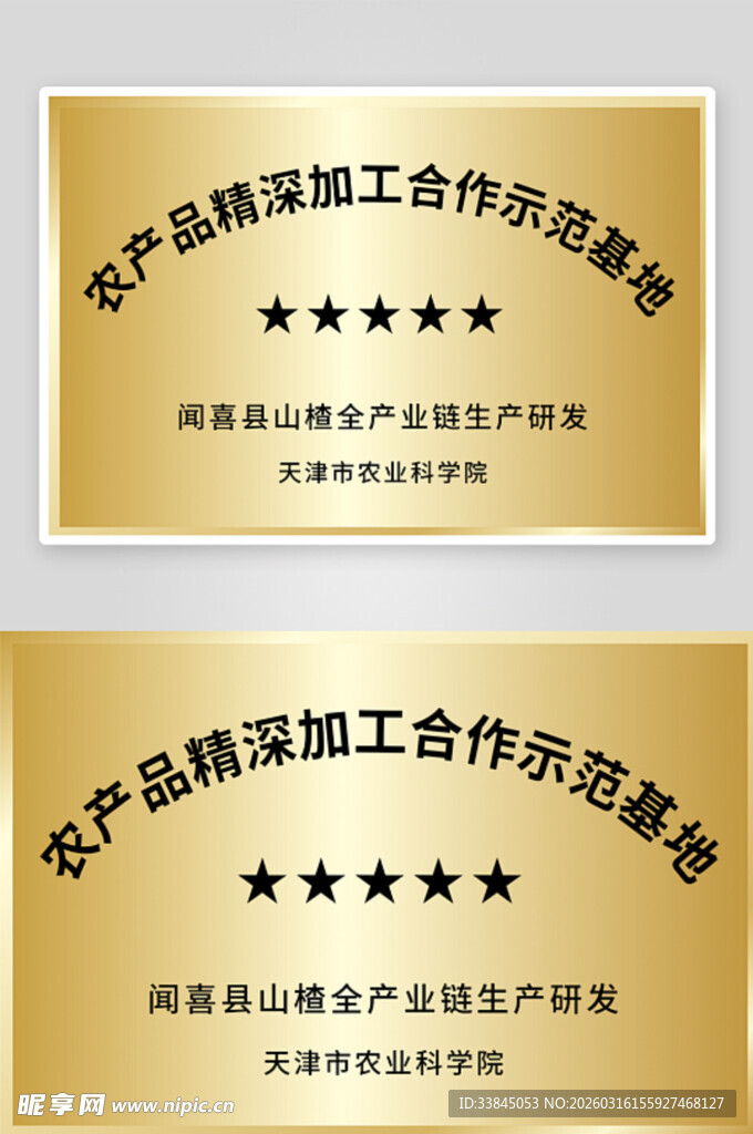 公司企业铜牌证书设计