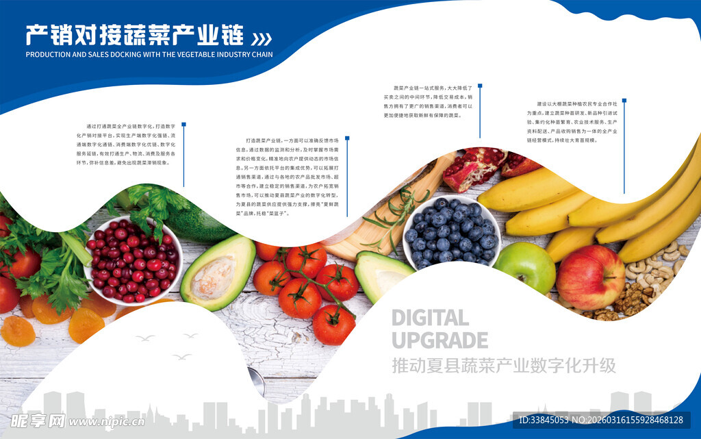 产销对接蔬菜产业链