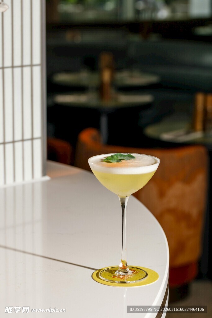 精致马天尼鸡尾酒