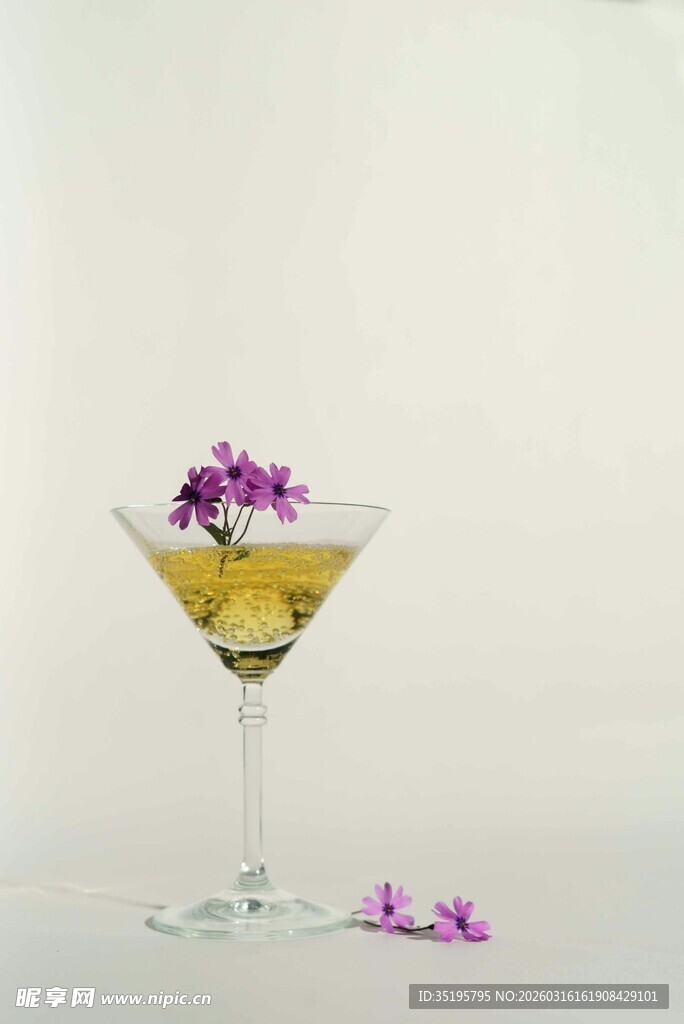 精致马天尼杯中的美丽饮品