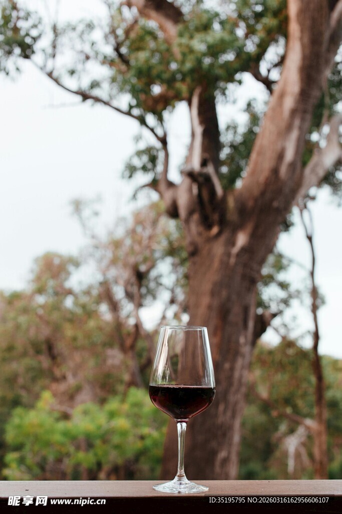 树下美酒惬意自然时光