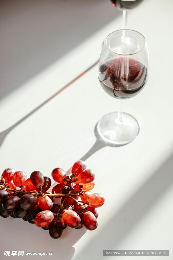 葡萄与红酒的惬意时光