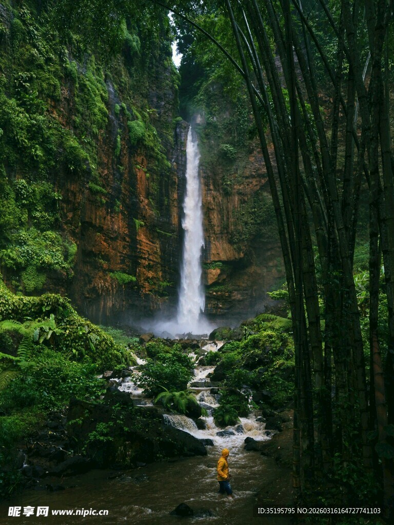 雨林中的壮丽瀑布景观