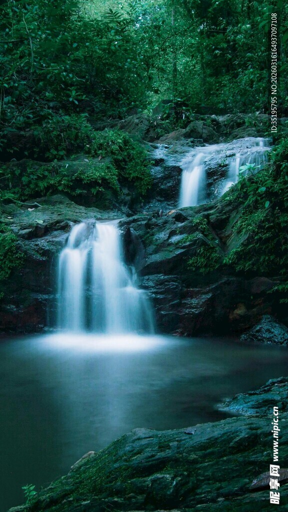 森林中的静谧瀑布景观