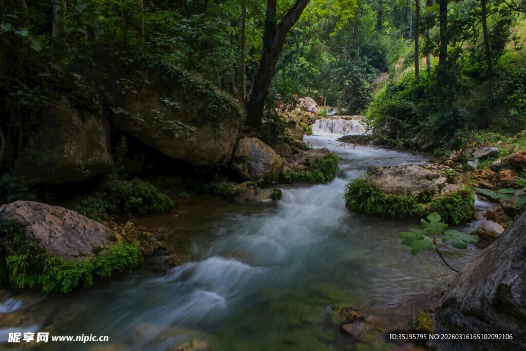 山林间潺潺流淌的清澈小溪