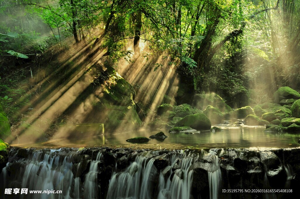 森林瀑布间的阳光洒落