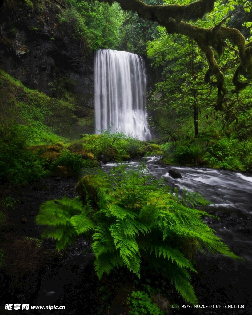 森林中的秀丽瀑布景观