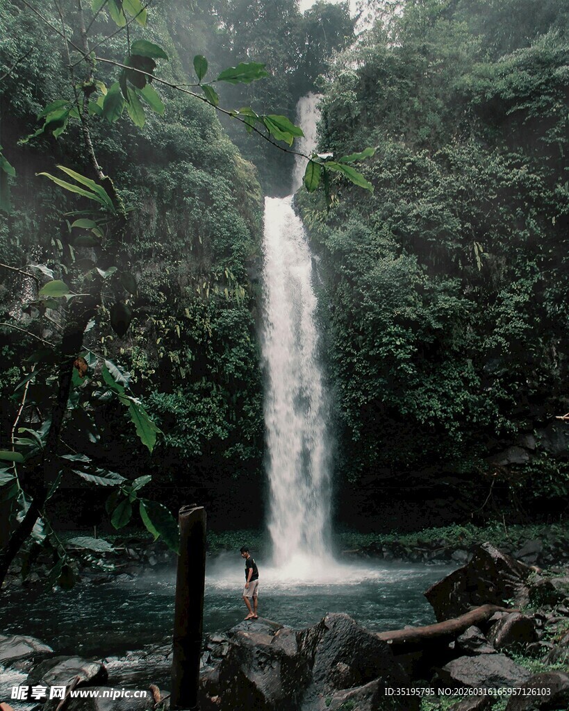 雨林中壮观的瀑布景观