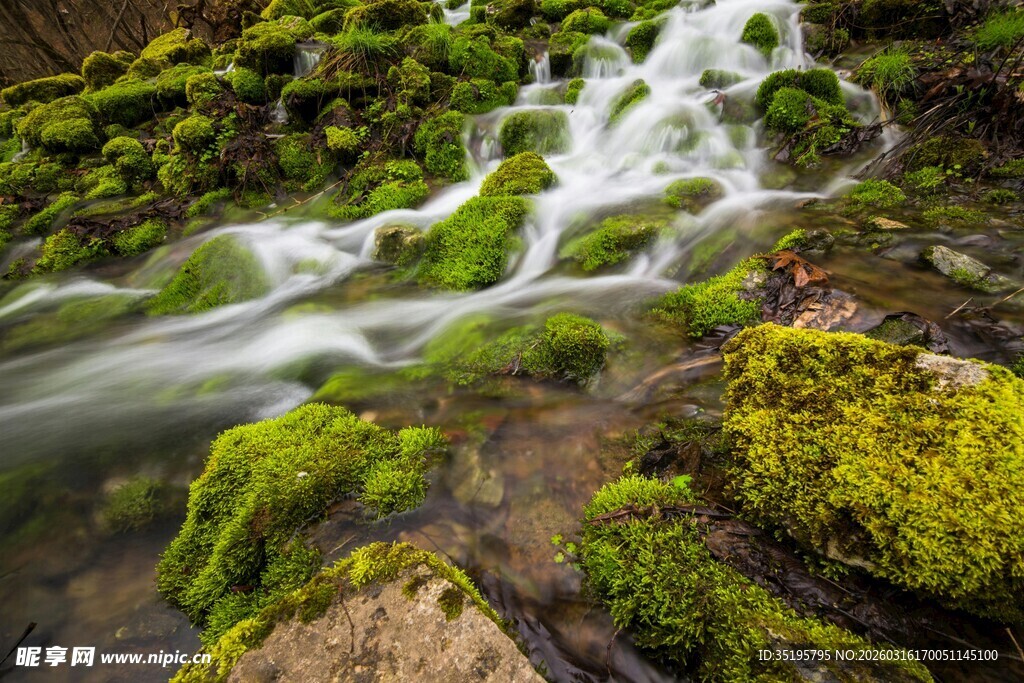 山间溪流淌过翠绿苔藓