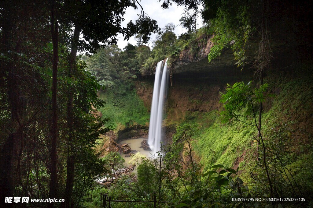 雨林中的壮观瀑布景观