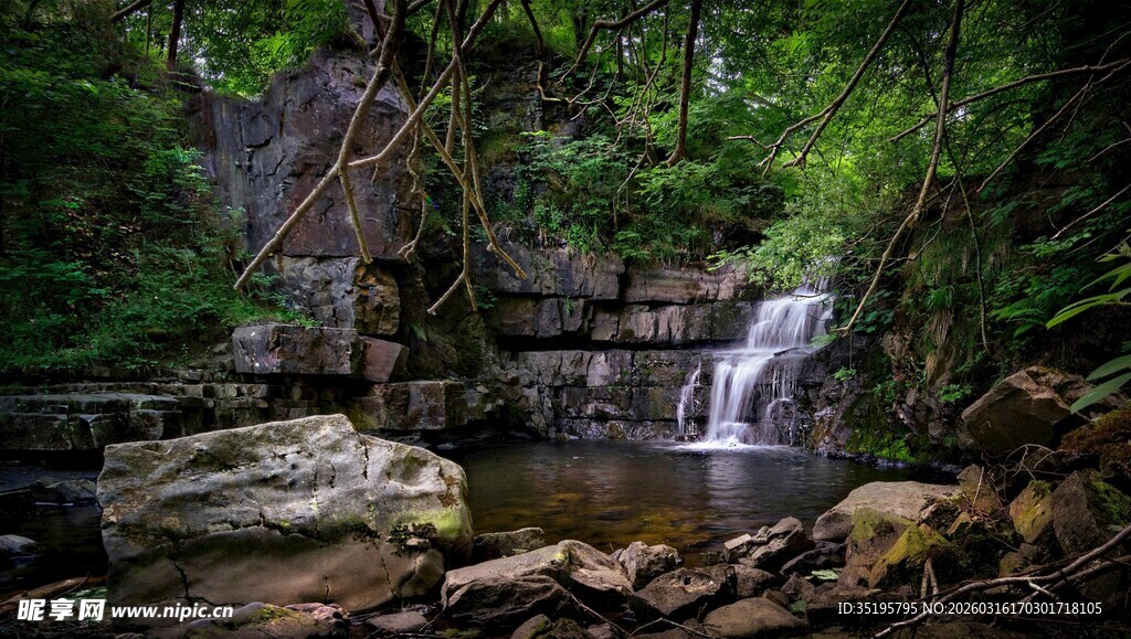 山林中的清幽小瀑布