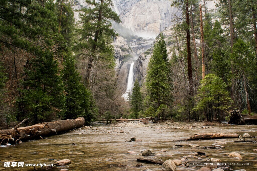 森林中的壮丽瀑布景观