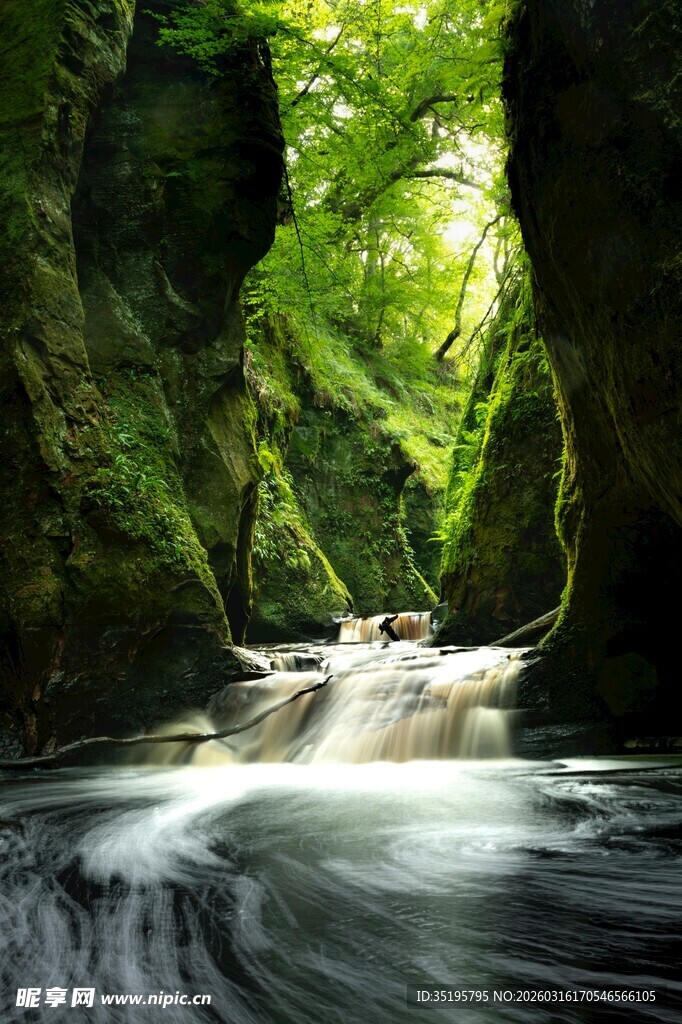 峡谷溪流间的绿意景致