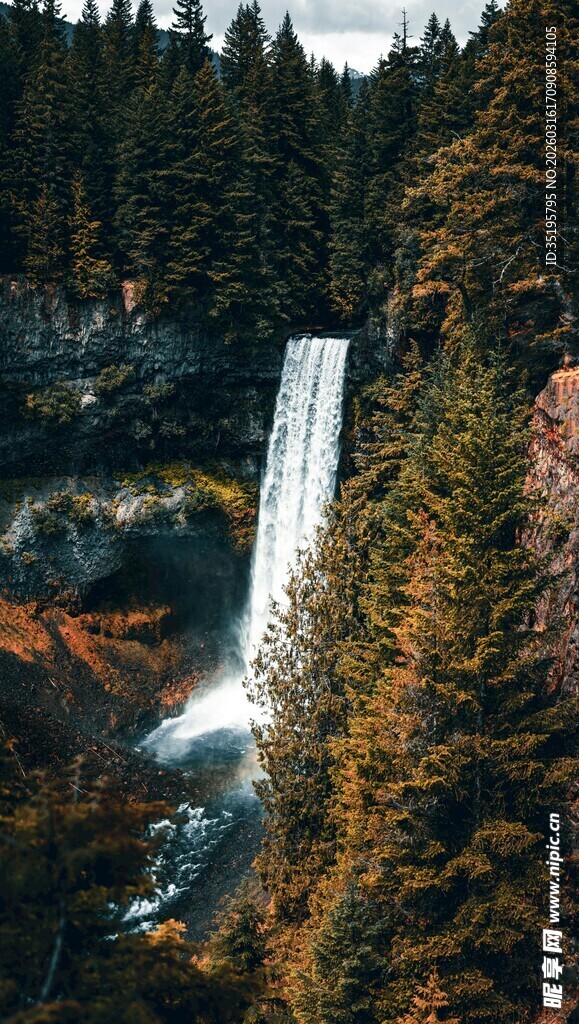 山间瀑布旁的茂密森林