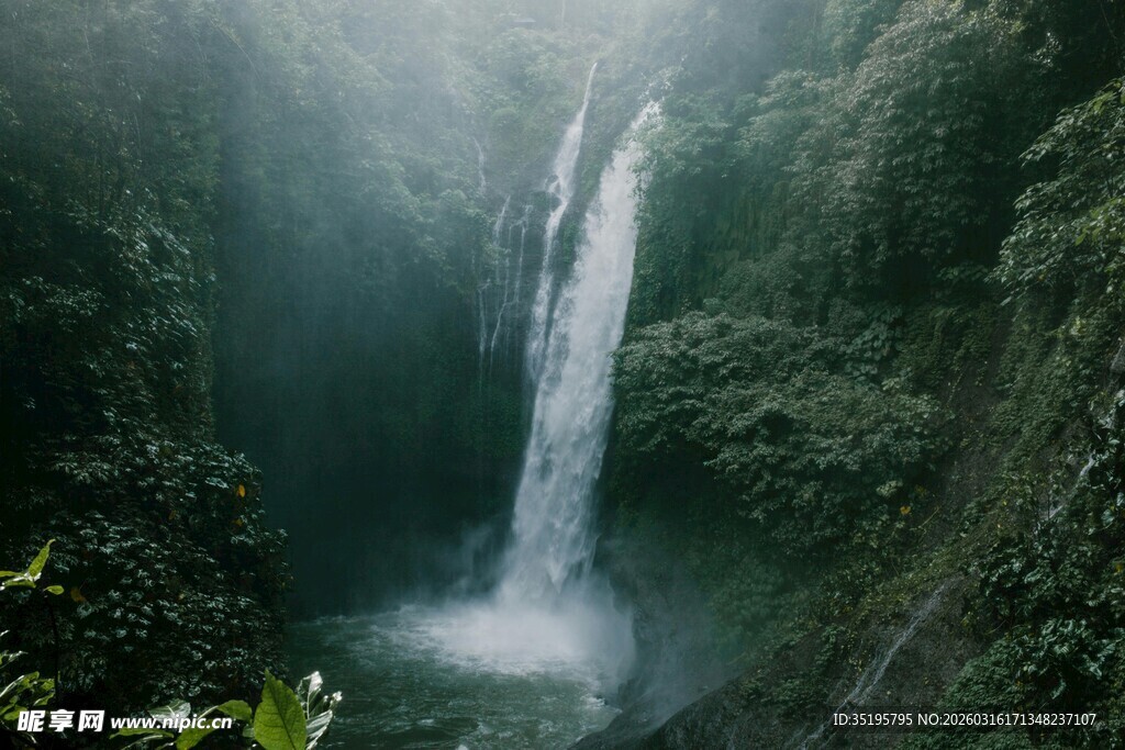 雨林中的梦幻瀑布景观