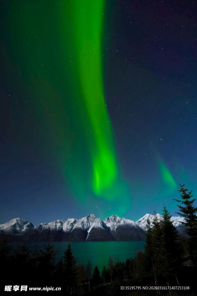 极光映照下的雪山森林景观