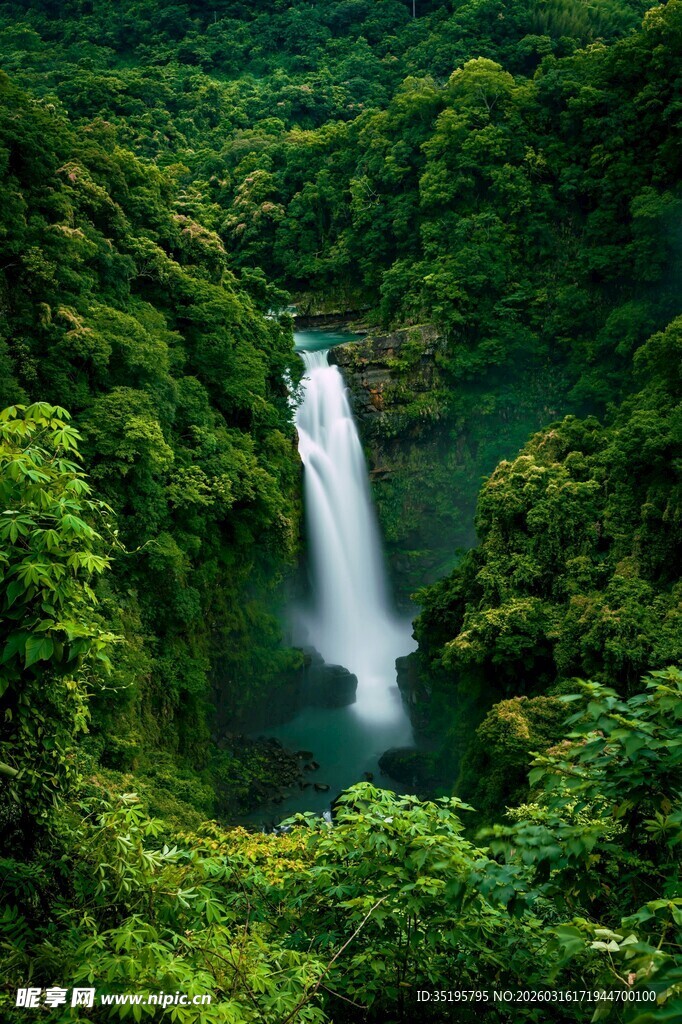 森林中的壮丽瀑布景观